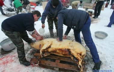Закарпатский шовдар традиция
