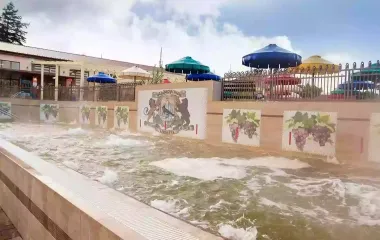 Жайворонок Берегово